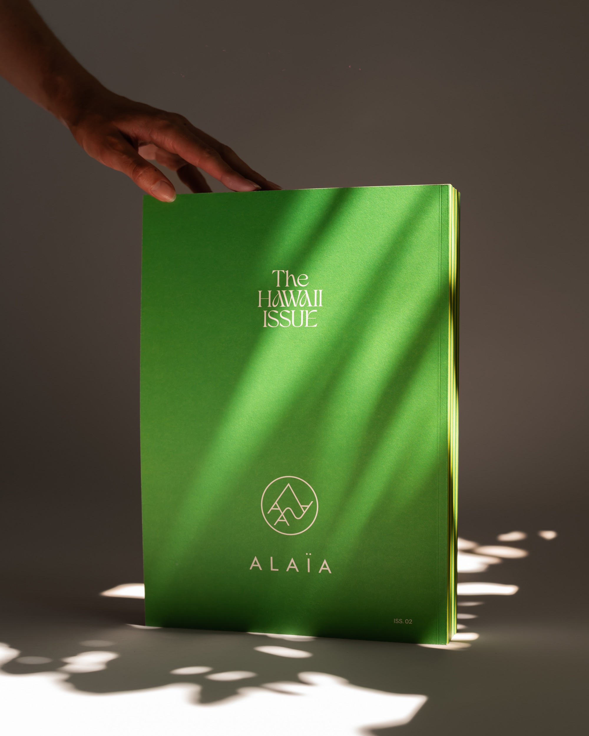 The Hawaii Issue #2